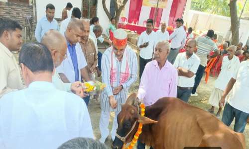 पंडित दीनदयाल उपाध्याय पशु चिकित्सा कैम्प का गौपूजन कर विश्व हिंदू परिषद सह प्रान्त प्रमुख विश्वंभर दुबे  ने किया शुभारंभ।