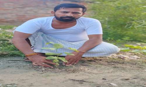 हंगामा लोक सामाजिक साहित्य समिति के प्रयागराज के प्रभारी धीरज द्विवेदी ने प्रयागराज में किया वृक्षारोपण।